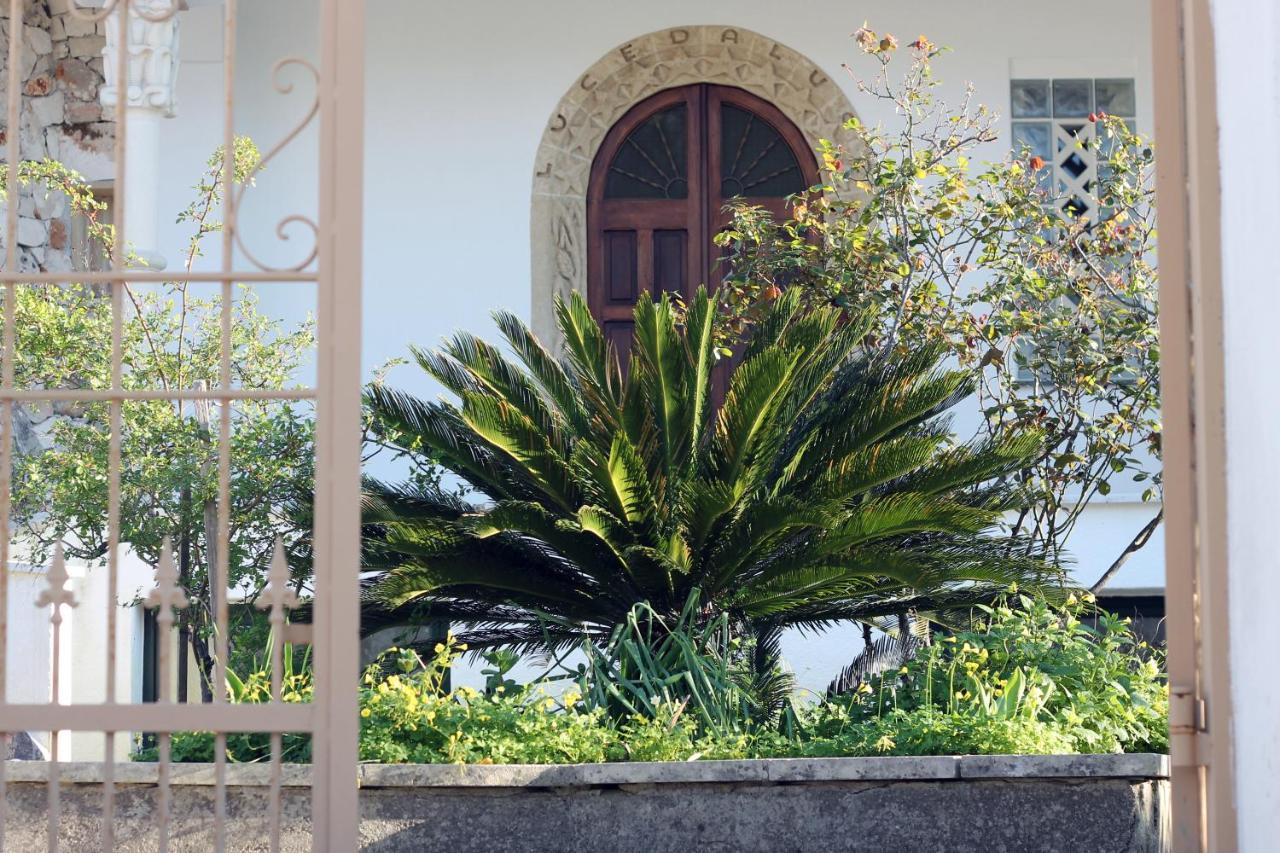 Casa Vacanza D'Arte Salentina Hotel Specchia Exterior foto